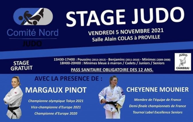 Image de l'actu 'Le FJH vous invite à Participer à un stage avec une championne Olympique'