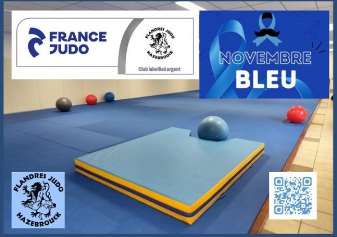 Image de l'actu 'NOVEMBRE BLEU AU FLANDRES JUDO . Rejoignez nous , n'hésitez plus . Reprenez le sport ......'