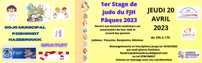 Image de l'actu '1er stage de judo de Pâques du FJH /'