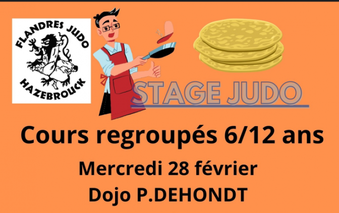 Image de l'actu 'STAGE JUDO  pour la section enfants ce mercredi au dojo .P.Dehondt pour les 6/12 ans du FJH'