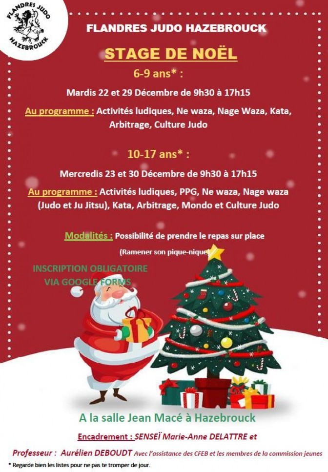 Image de l'actu 'STAGE DE NOËL !'