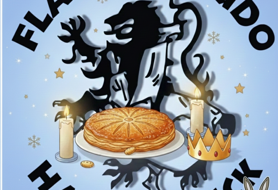 Un trimestre riche en activités au Flandres Judo. Allez 2026, on continue!