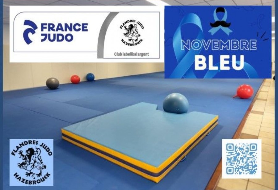 NOVEMBRE BLEU AU FLANDRES JUDO . Rejoignez nous , n'hésitez plus . Reprenez le sport ......