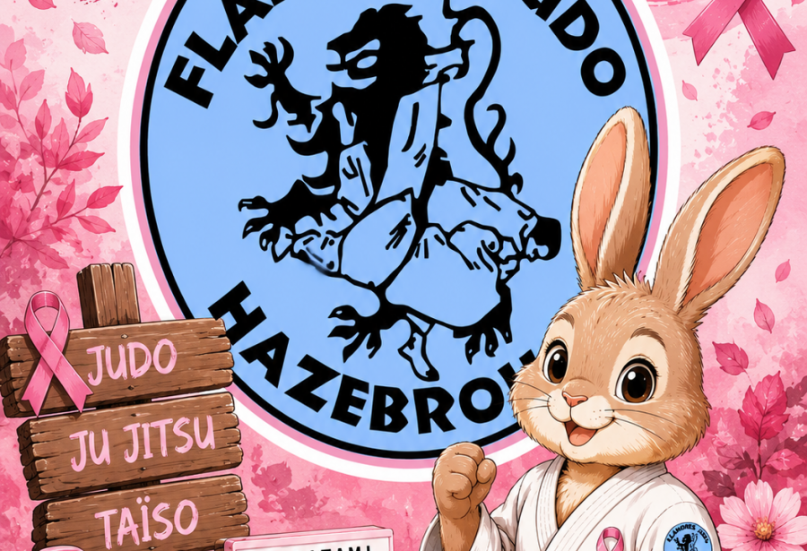 OCTOBRE ROSE Venez découvrir le JUDO JU JITSU TAÏSO SANTE au Flandres Judo Hazebrouck