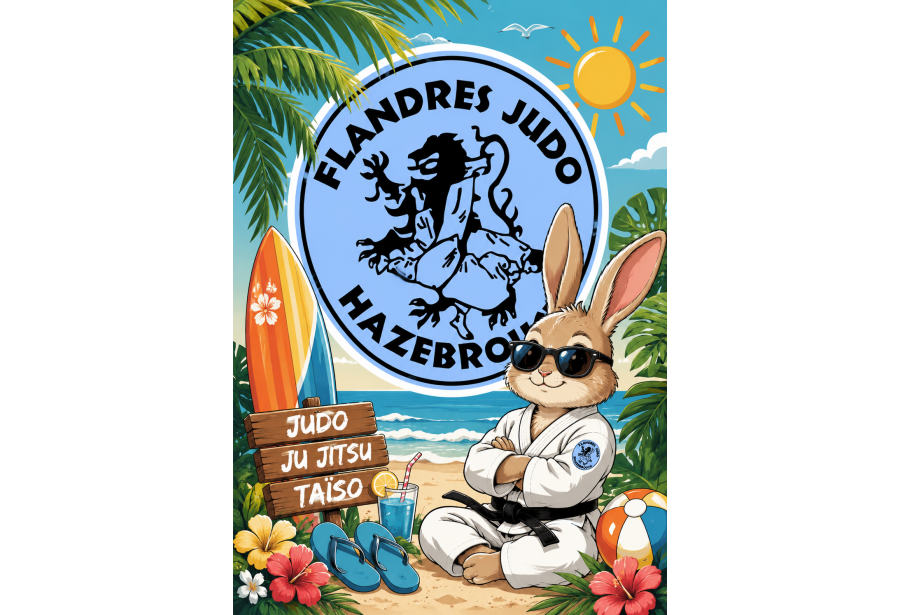 Logo du FLANDRES JUDO HAZEBROUCK