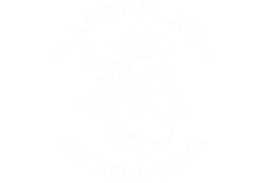 Logo du FLANDRES JUDO HAZEBROUCK